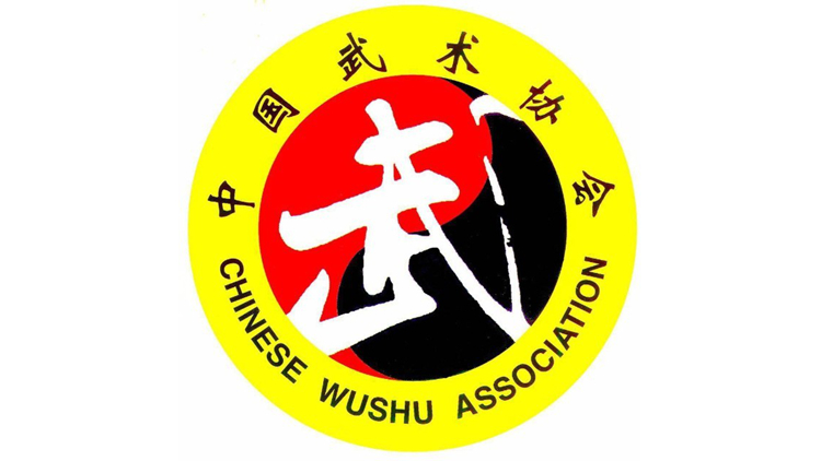 中国武术协会：全国武术太极拳习练人口...